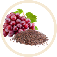 Grape Seed Extract