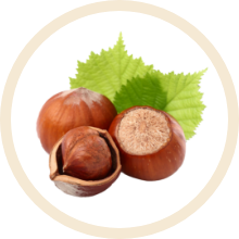 Hazelnut